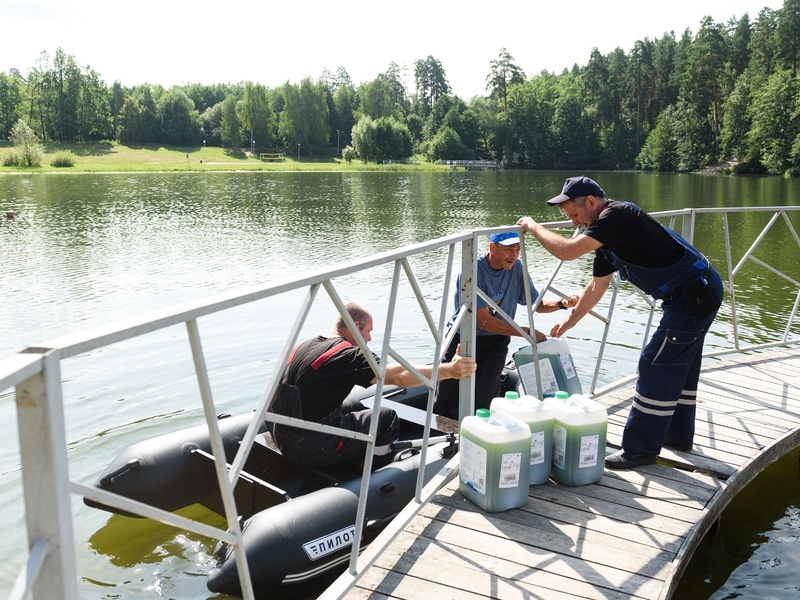    Фото: T.me/kostin058