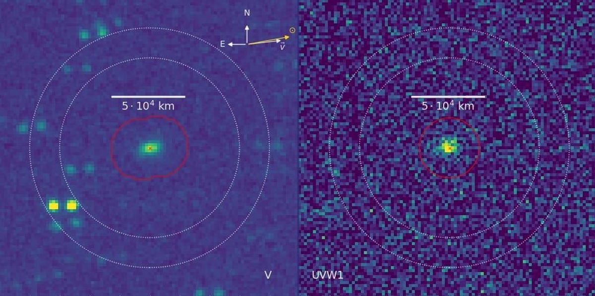 Источник: Z. Xing et al.  📷
