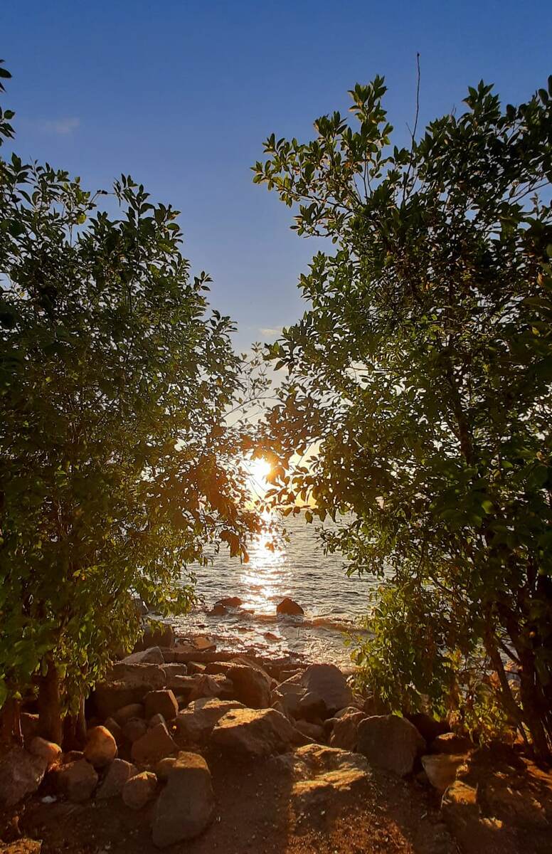 Инертность жизни проявляется в склонности к стереотипным формам поведения и инфантильности. / Фото из открытых источников