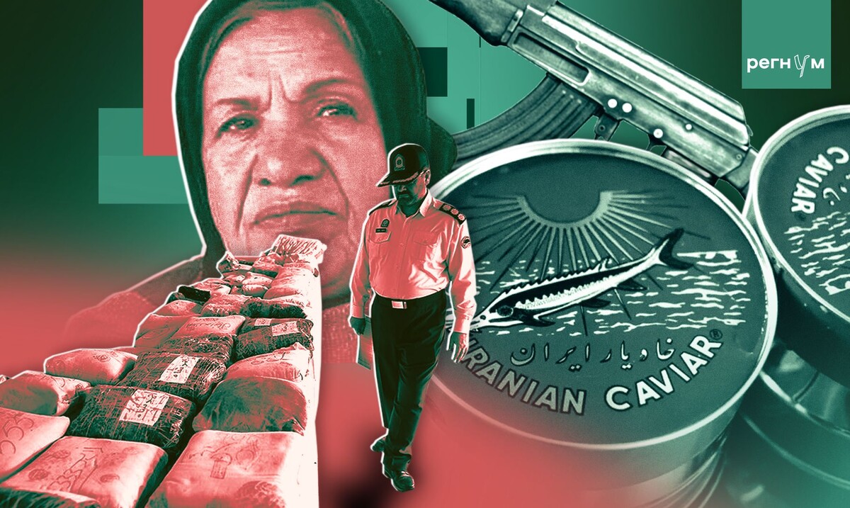     / Источник: Иван Шилов (с) ИА Регнум