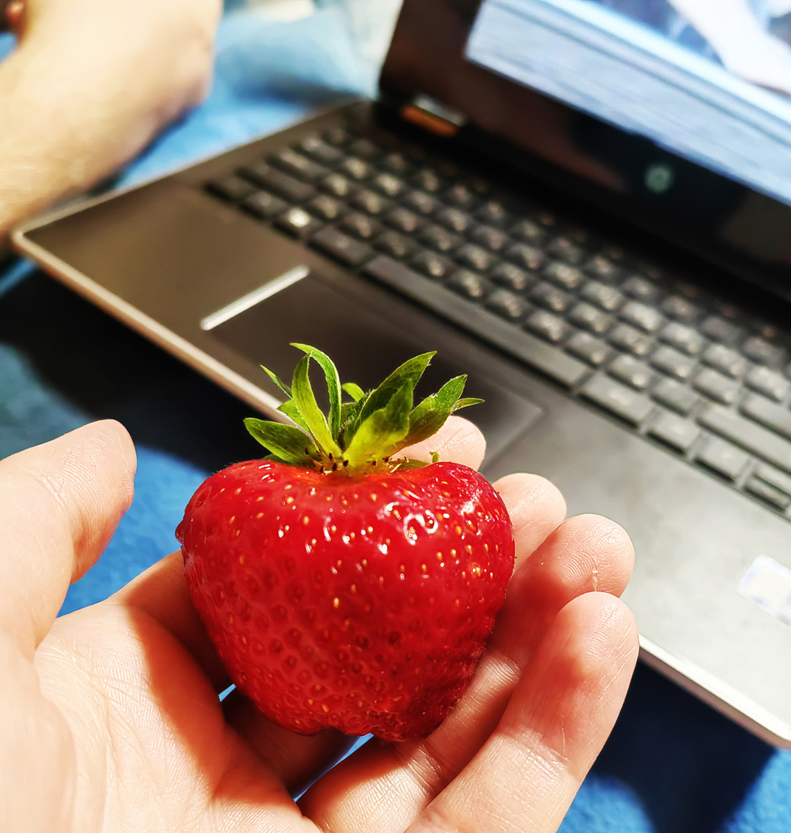 Фото из личного архива