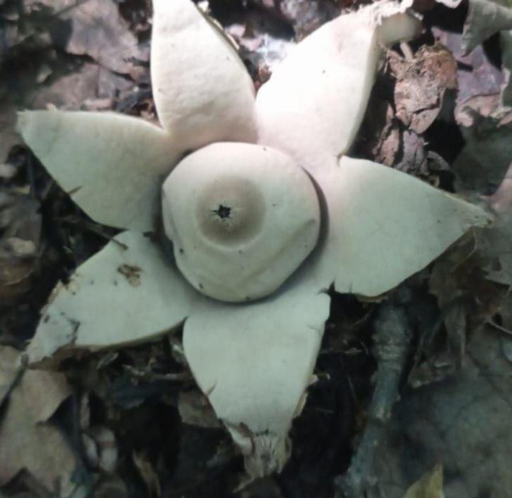    Фото Минэкологии РБ