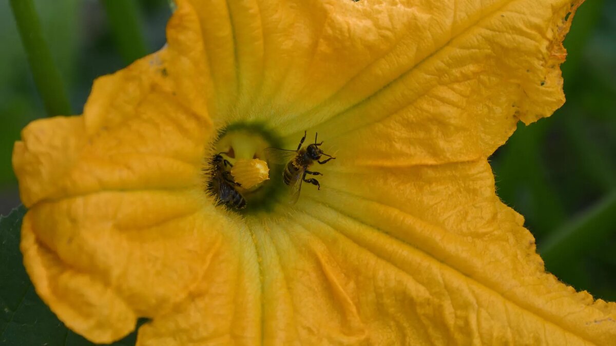 © Sputnik / Виктор Толочко