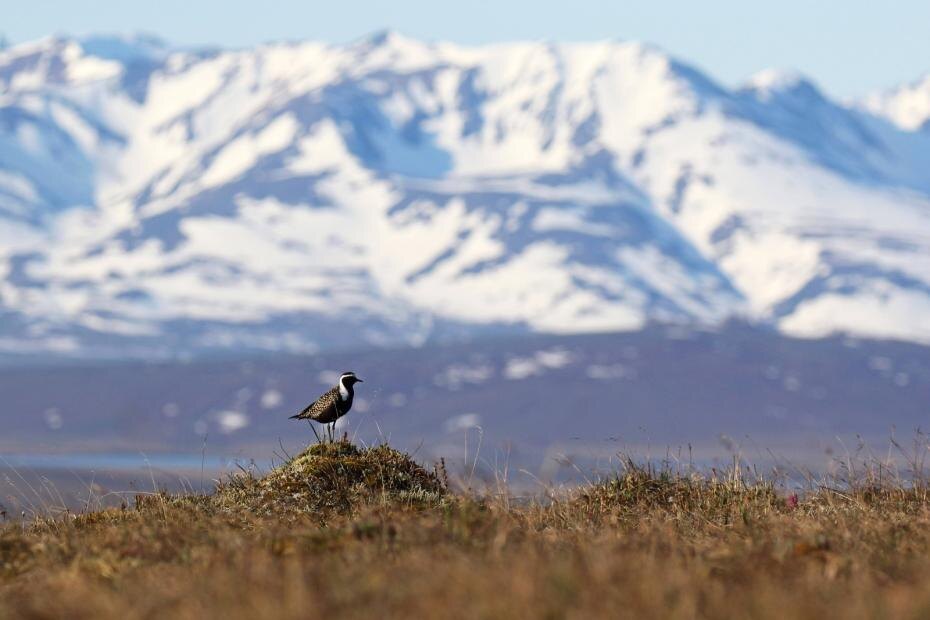    IMAGO/AGAMI/D. Lopez Velasco/Global Look Press