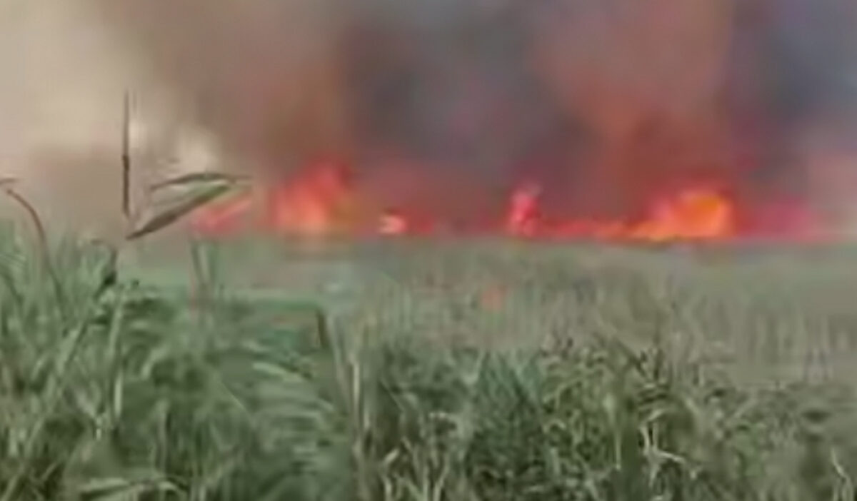    Фото t.me/temruk_info