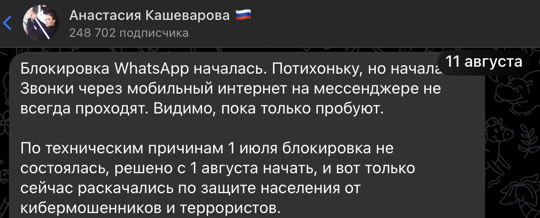    Скриншот: t.me/akashevarova/8127