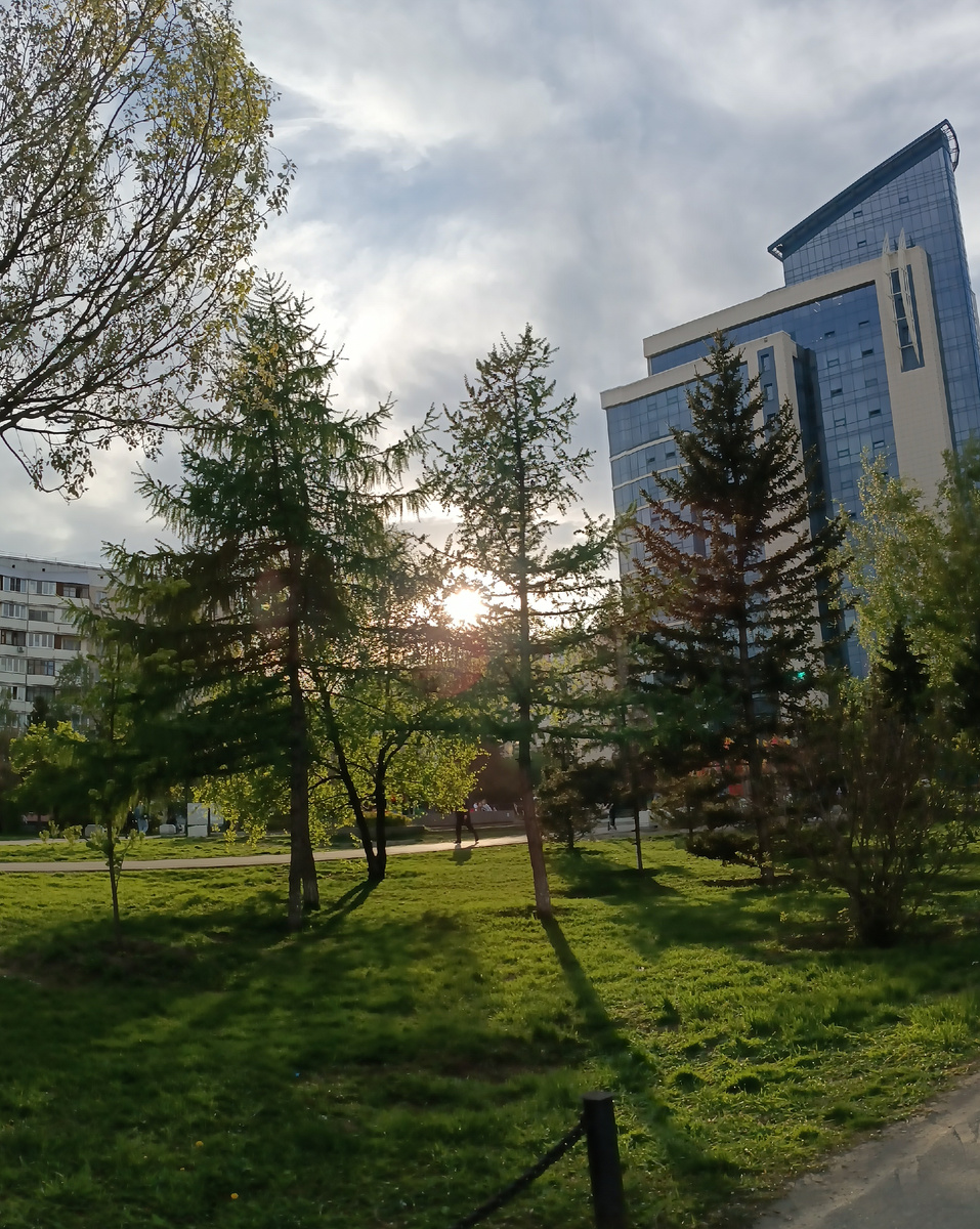 Где-то на просторах летнего города. Фотография автора, июль 2025 года. 