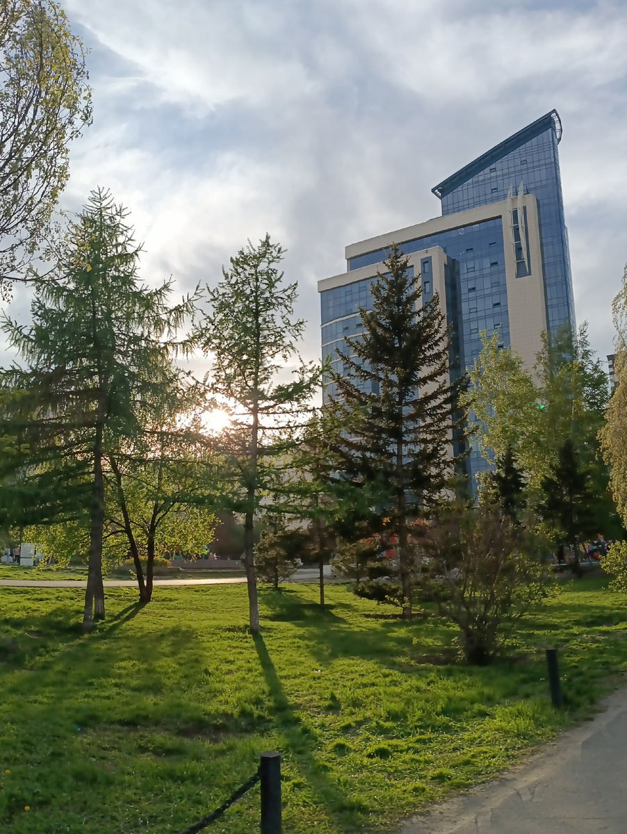 Где-то на просторах моего летнего города. Фотография автора, июль 2025 года. 