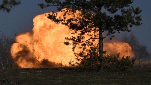    © РИА Новости . Евгений Биятов