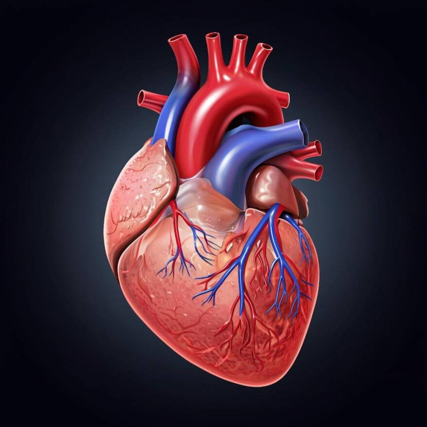    Источник фото: