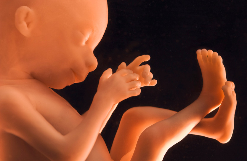 Фото: Frans Lanting / TASS