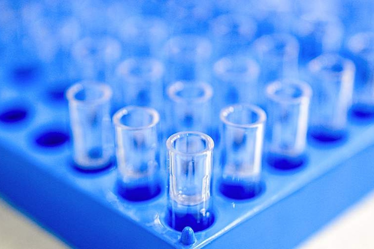    Фото: Эдуард Корниенко, источник: iz.ru