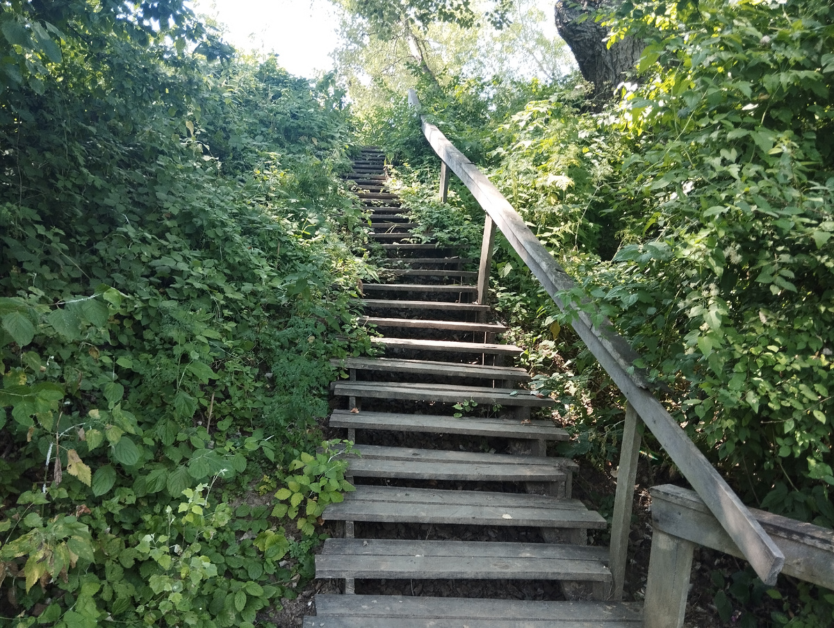 Спуск к воде