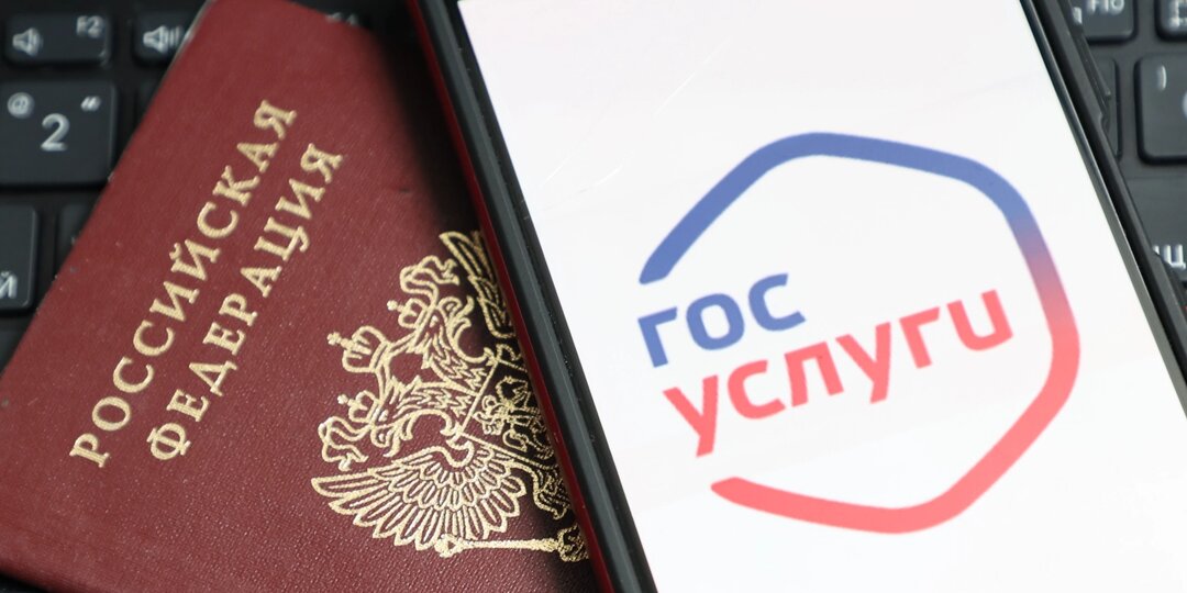 Испугались мобилизации? В Госдуме объяснили странные сообщения на "Госуслугах", связанные с воинским учётом