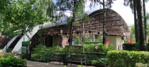 Зеленый театр Бабушкинского парка.