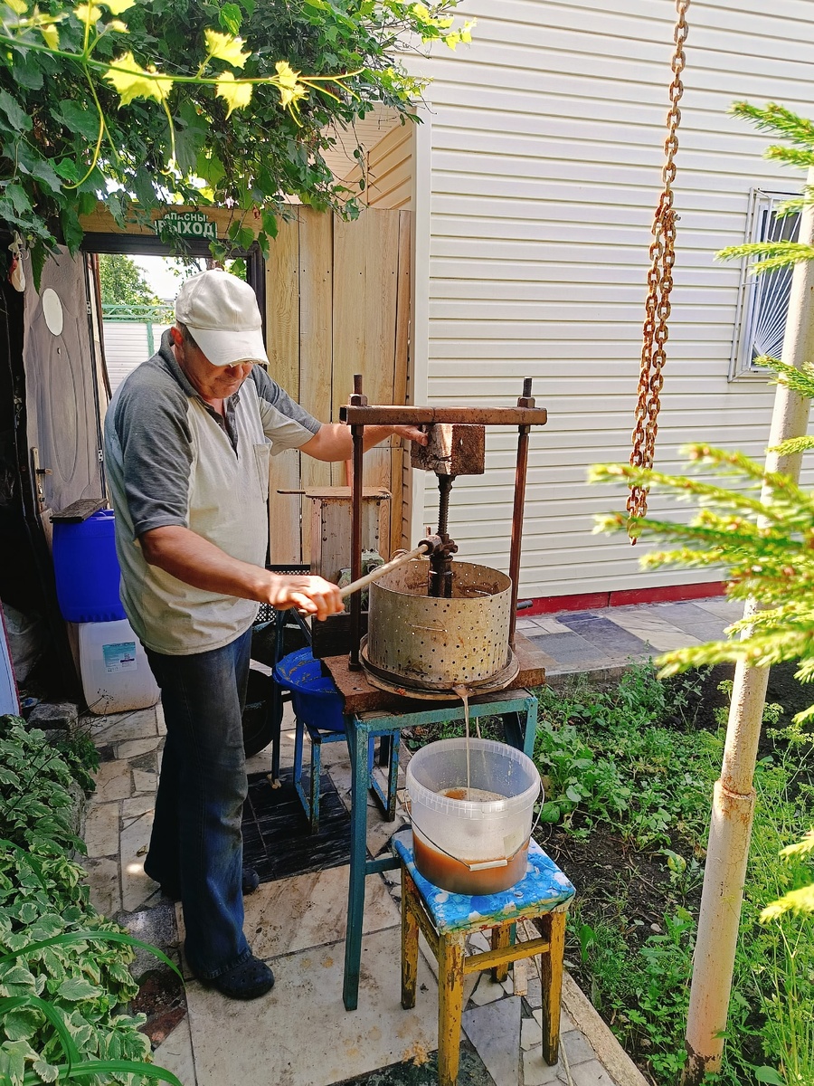 Отжимаем сок