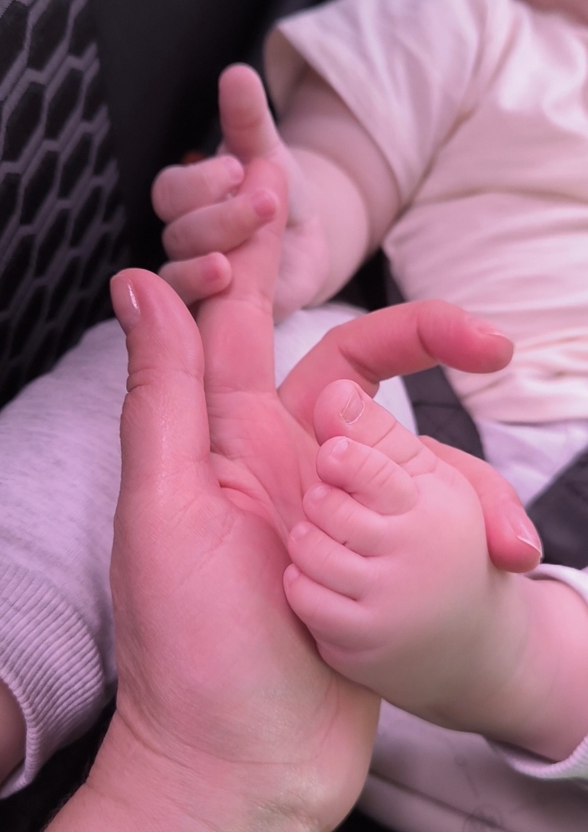 Фотографии в статье авторские