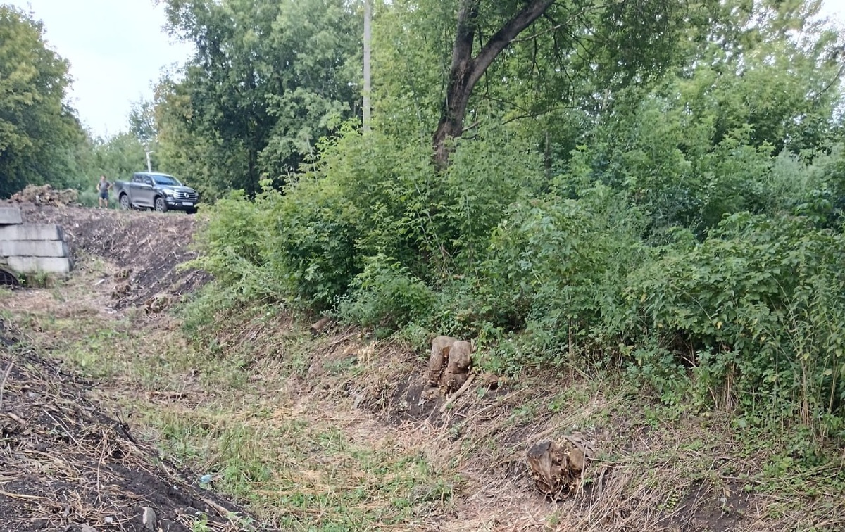 Фото: Администрация Курска