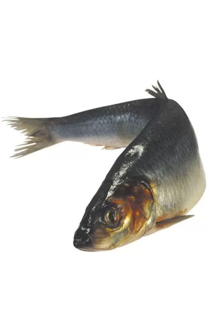 У Ирины Анатольевны старожилы - комментаторы сидят сейчас в горохе поеденным Серёгой, ну просто блогер на слуху на верхние статьи комментирование ограничила. Как думаете, если Ирина Анатольевна всё- таки восстановит доступ к старому каналу , есть риск комментаторам дойти до основ, до селёдки? Причина проблем со старым  каналом , скорее всего, довольно банальна, несоблюдение нового закона по которому блог имеющий свыше 10тыс подписчиков обязан "отметиться".