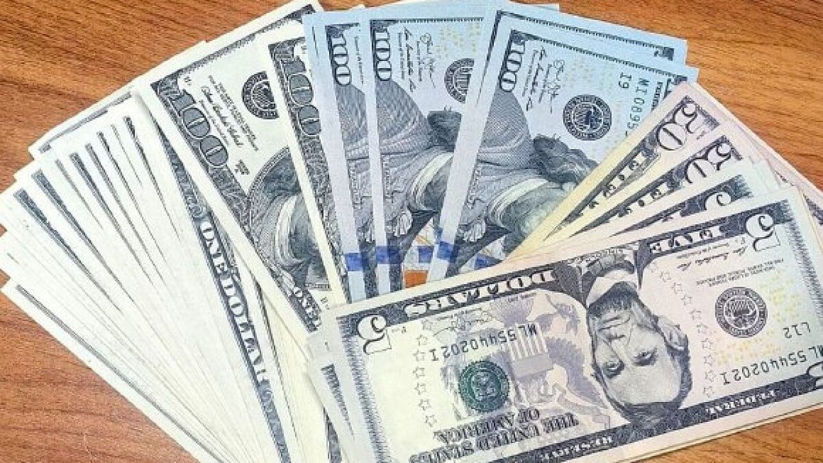    Фото: телеканал «Краснодар»