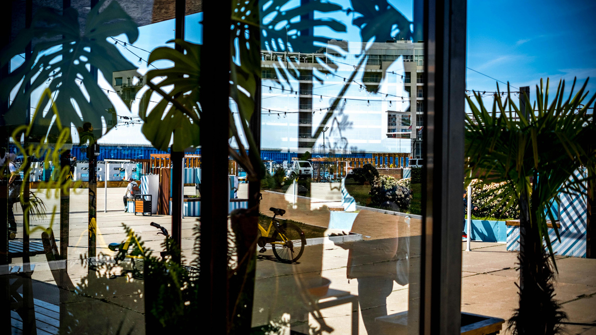 Фотограф: Igor Starkov: https://www.pexels.com/ru-ru/photo/2356342/