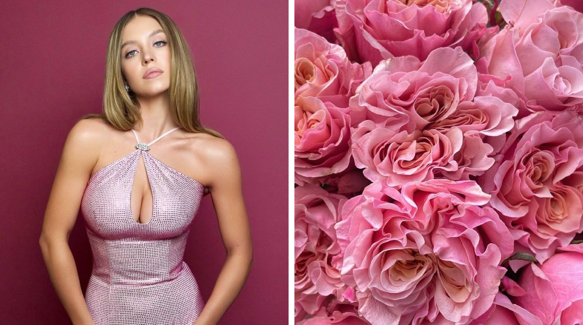 Редакционный коллаж