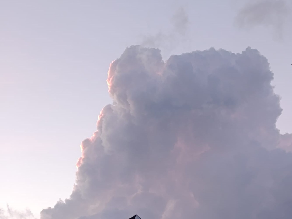    Фото: Светлана СОСНИНА