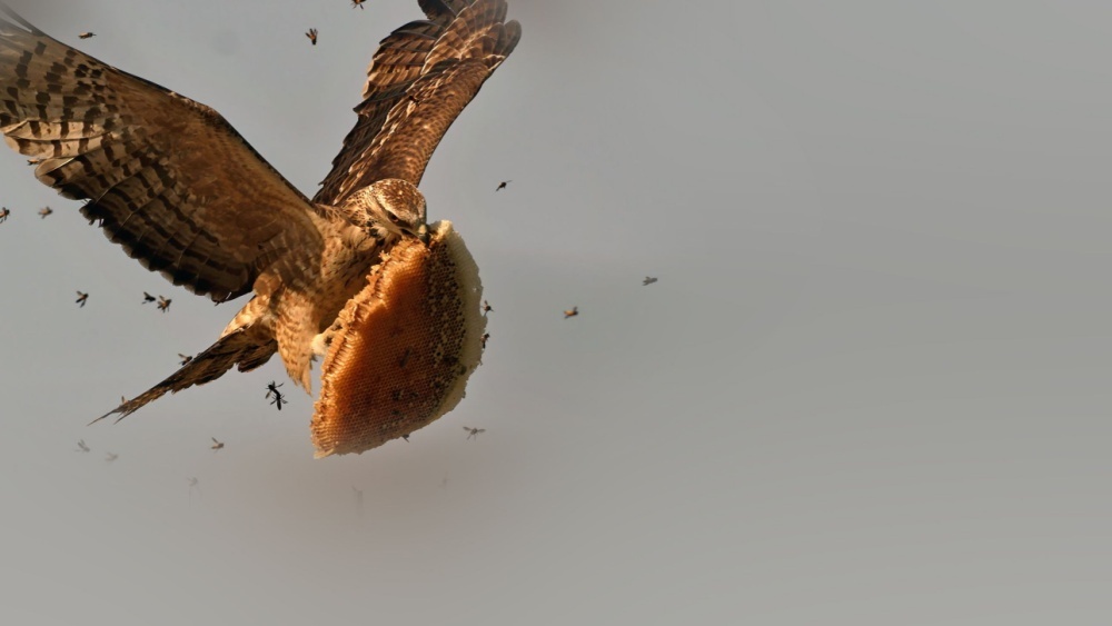     Фото: LiQiang/Shutterstock/FOTODOM