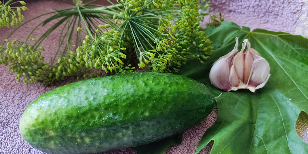 Маринованные огурцы в 3 литровой банке: домашний рецепт хрустящих огурцов на зиму 🥒😋