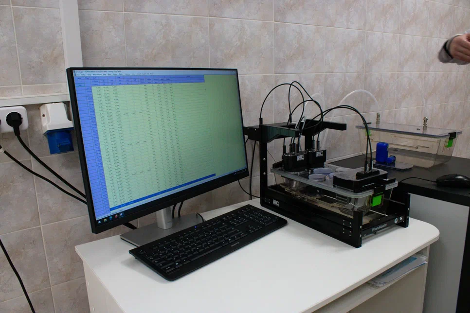 Феномастер