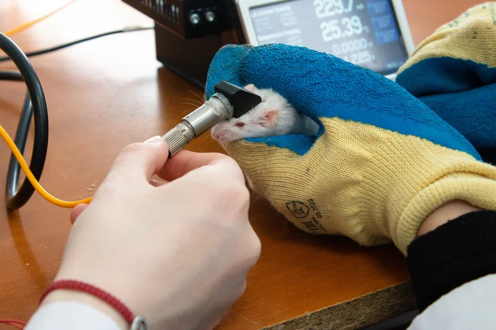 Лазерная установка