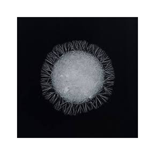 Вот так выглядит молекула кофеина