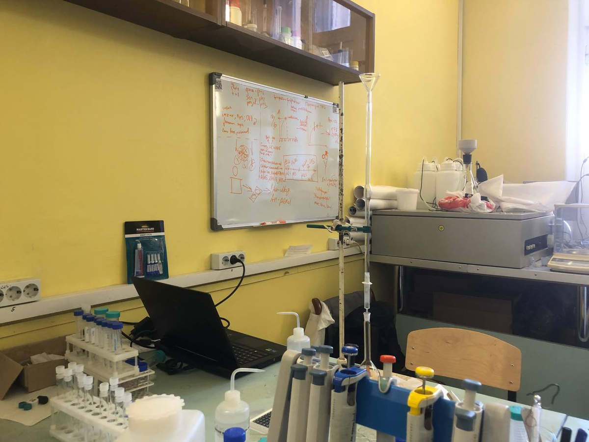 Лаборатория исследования молекулярного импринтинга кафедры общей и неорганической химии (кабинет №31, I корпус СГУ)