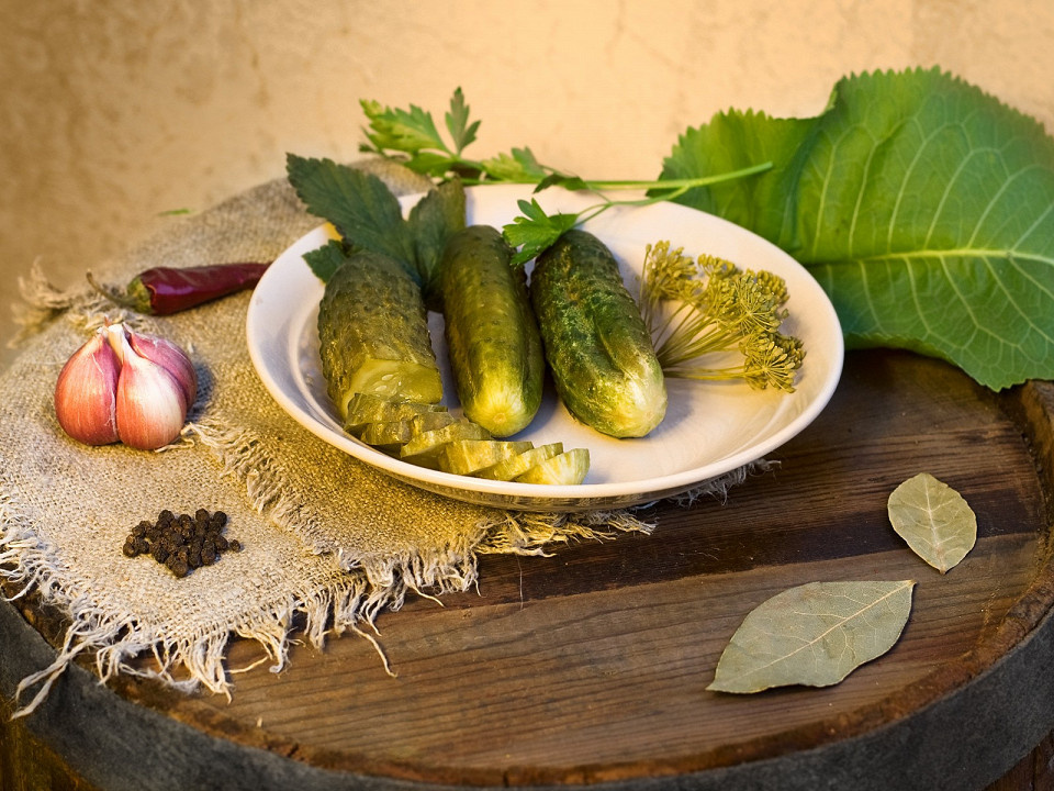 tyrin / Shutterstock.com
