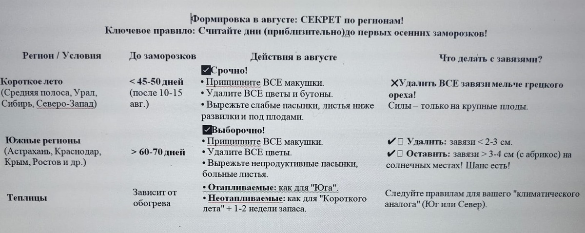 Таблица и фото Натальи Мироновой