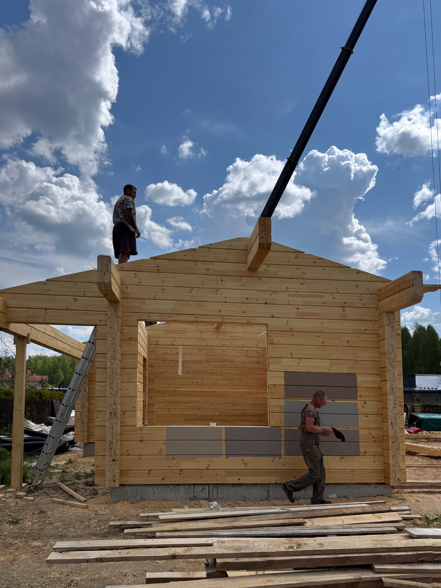 Выкрасы будущих цветов дома