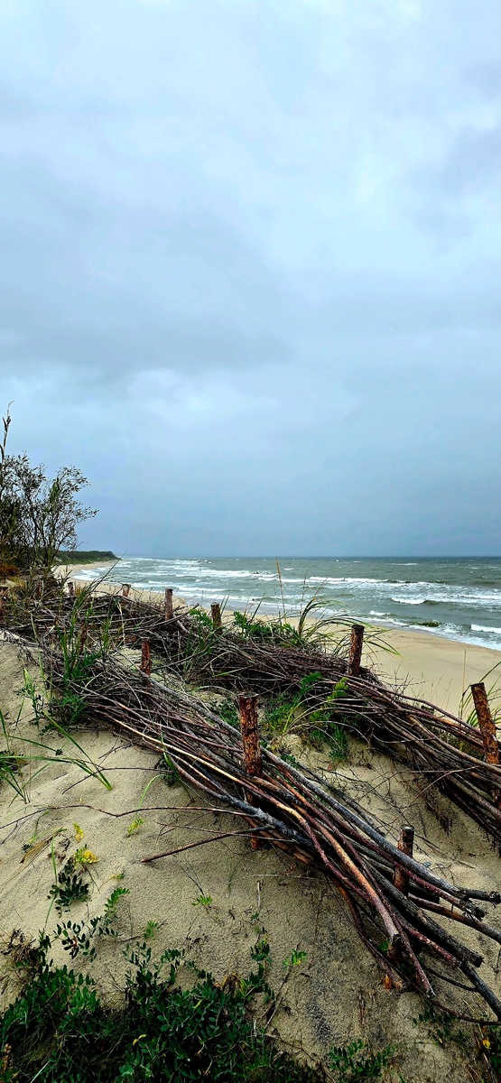 Куршская коса, между Лесным и Рыбачим