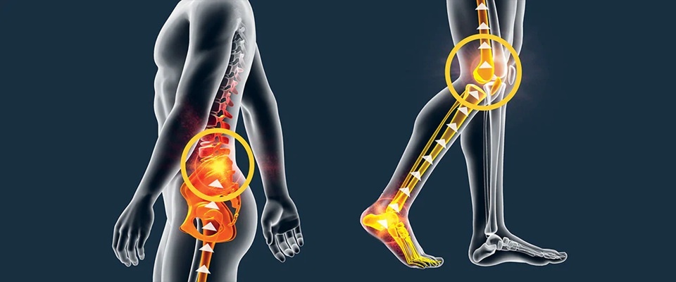    Цепь нагрузки при ходьбе.https://www.drscholls.com/