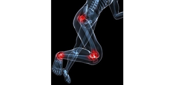    Узлы нагрузки при беге.https://www.hiptotoe.com.au/