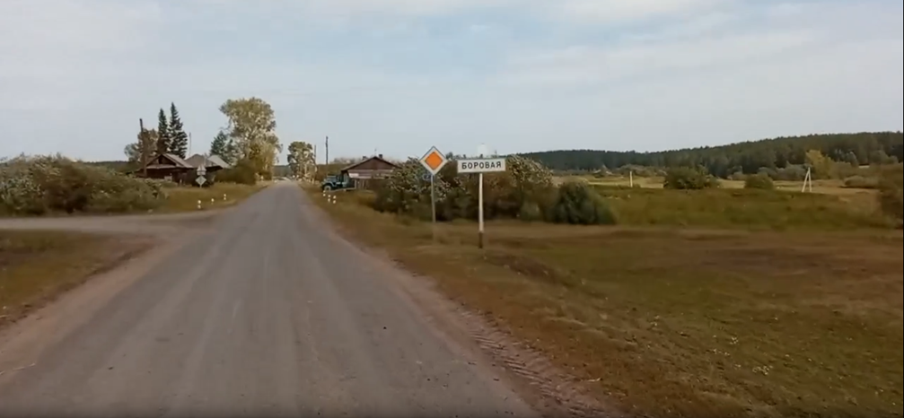 Боровая — деревня в Талицком городском округе Свердловской области, Россия.