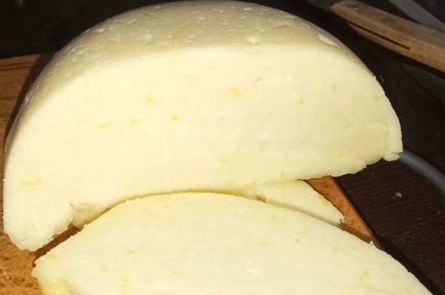    Фото: АиФ в Туле/ Юлия Богомолова