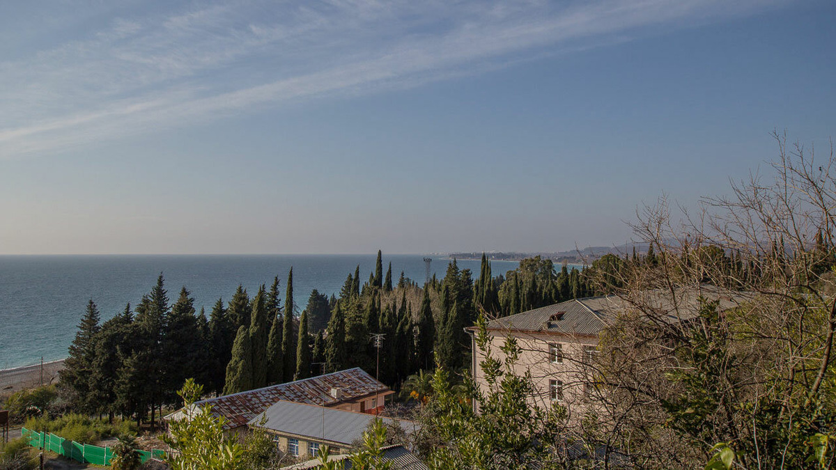 Кипарисы, эвкалипты, сосны Цандрипша делают воздух целебным. Роман Турбаев / Яндекс Карты