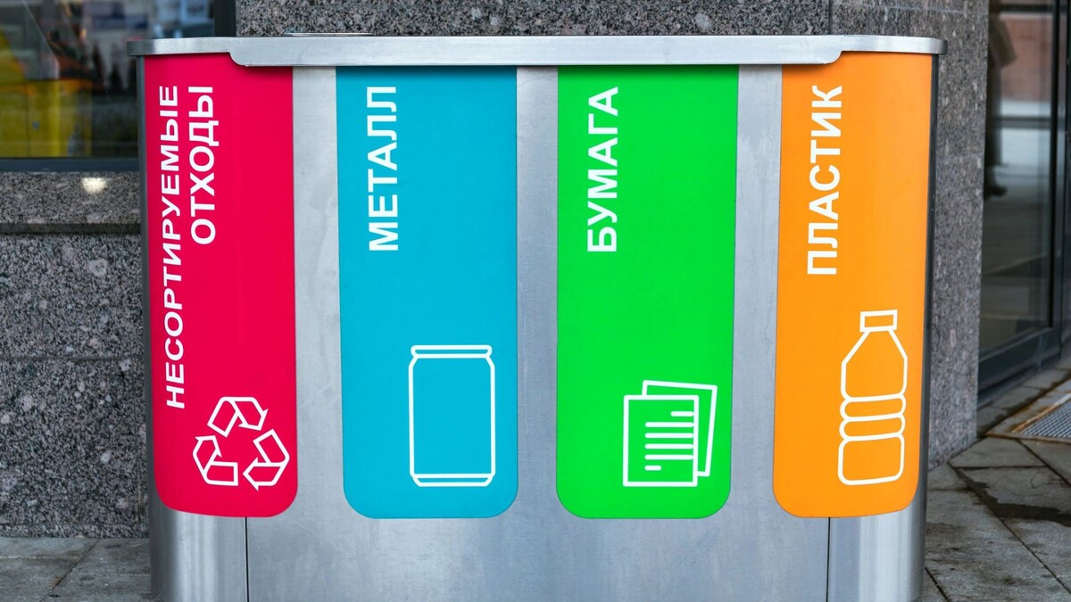    Фото: Artem Mishukov / Shutterstock / Fotodom