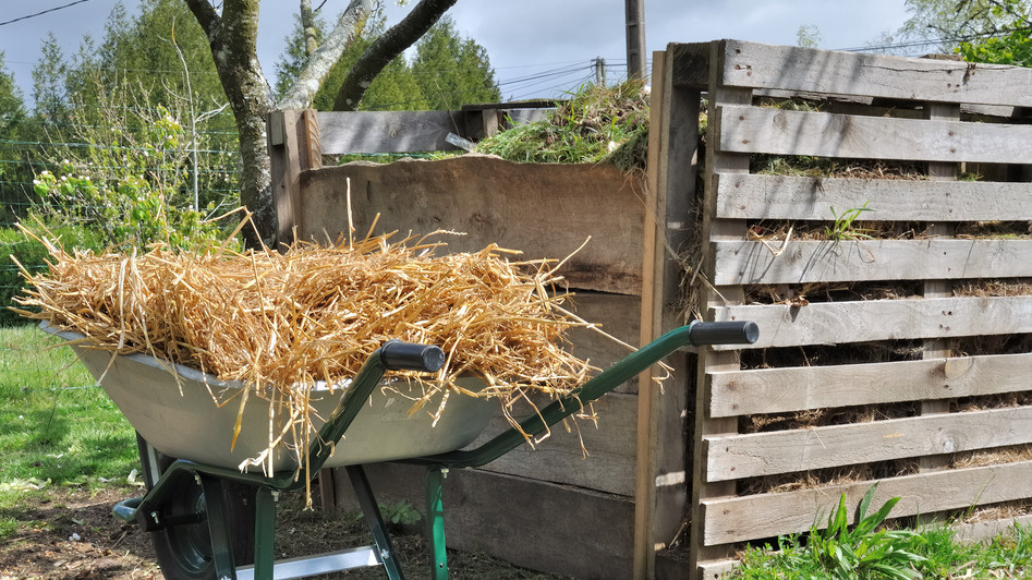 Скрытые расходы огородника за один поход в садовый центр