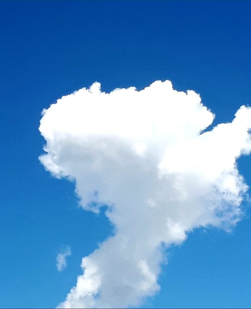 Фото автора статьи 13.08.2025г.