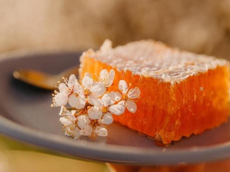     Фото: Anita Austvika, Unsplash