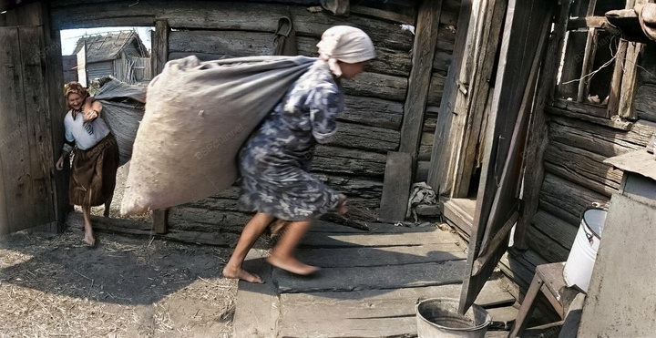 https://avatars.dzeninfra.ru/get-zen_doc/271828/pub_689c9707d97084386be0b806_68a21a774230d279d030bb3c/scale_720