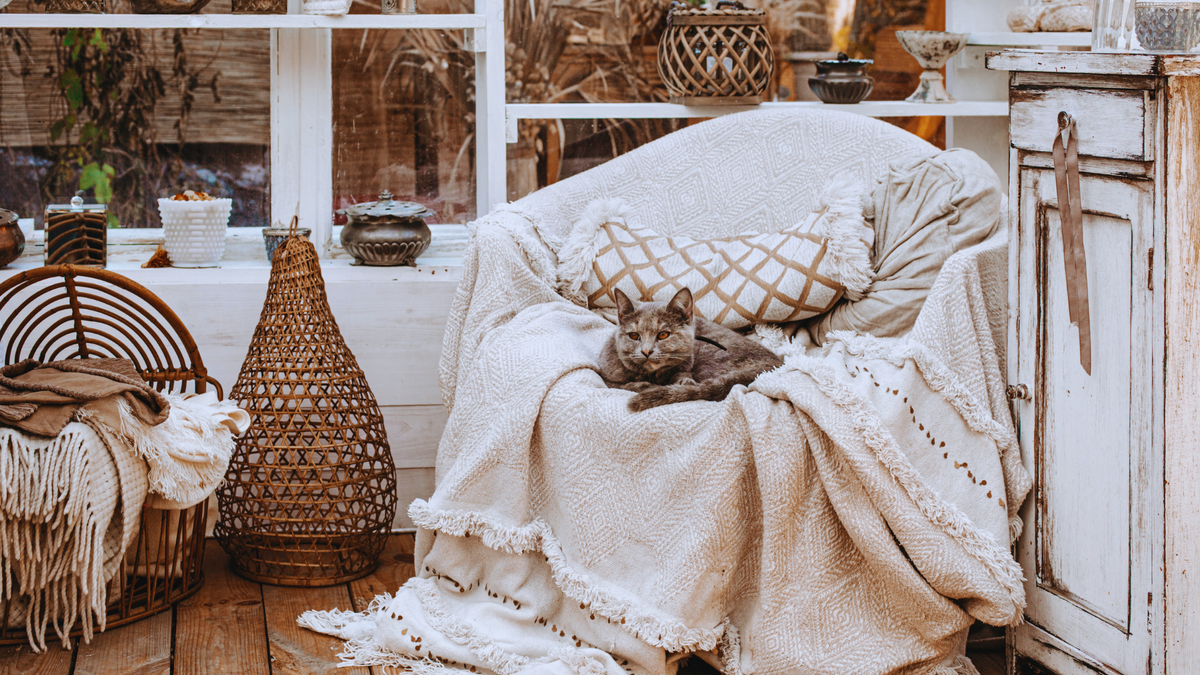 Текстиль в интерьере. Дизайн интерьера. Правила дизайна. Фото 
thesomegirl от Getty Images/ Canva Pro