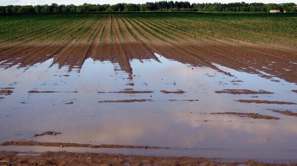    © Photo : Lietuvos Respublikos žemės ūkio ministerija