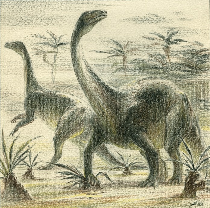 Хотя некоторые тогдашние прозауроподы могли опираться на передние конечности при хождении, однако они всё ещё предпочитали ходить только на 2-ух ногах.